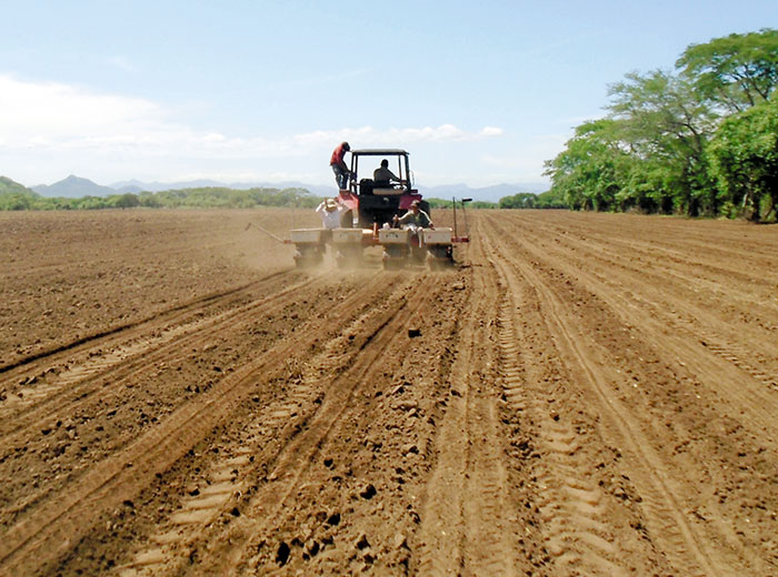 Algunos productores han optado por preparar la tierra para esperar a que el invierno se instale y comenzar la siembra. LA PRENSA/ARCHIVO