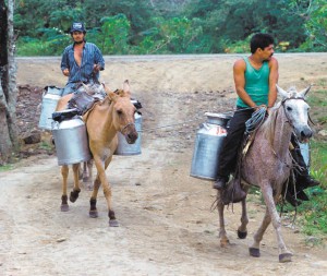 Una caída de al menos 15 córdobas en el precio del galón de leche es la afectación para los productores por el cierre de las fronteras de Honduras y Costa Rica a los lácteos nicaragüenses. LA PRENSA/ARCHIVO