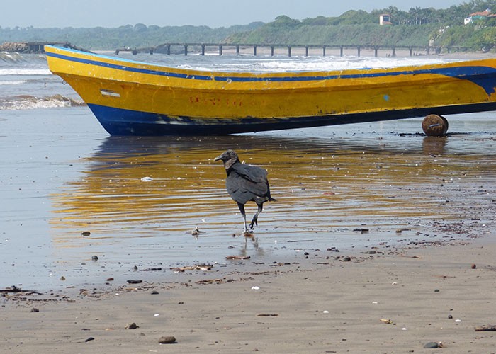 Masachapa, en el Pacífico de Nicaragua. LA PRENSA.