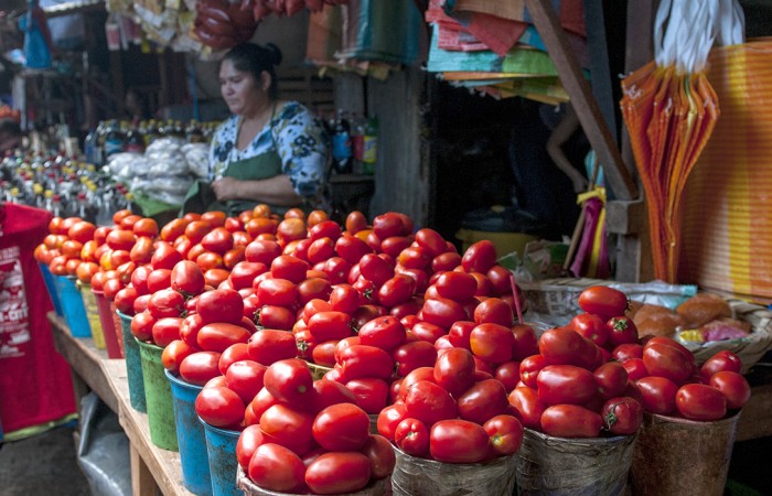 alimentos foráneos