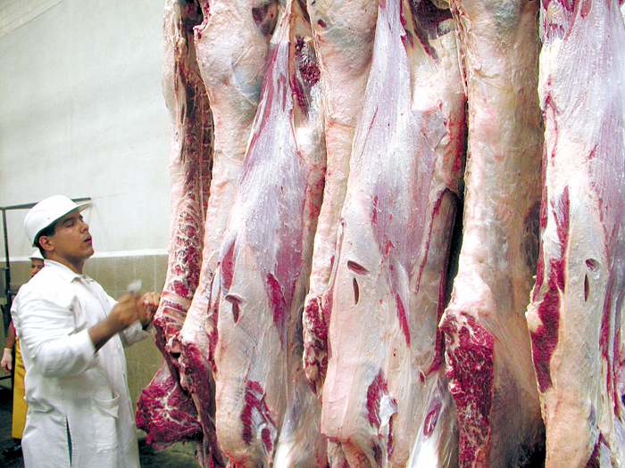 carne